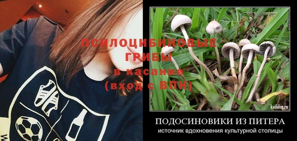 прущая мука Абаза