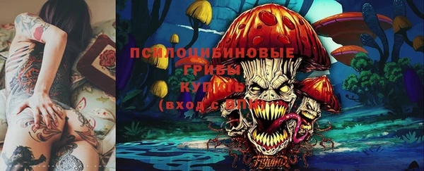 прущая мука Абаза