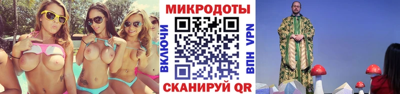 купить наркоту  Елизаветинская  Псилоцибиновые грибы Psilocybe 